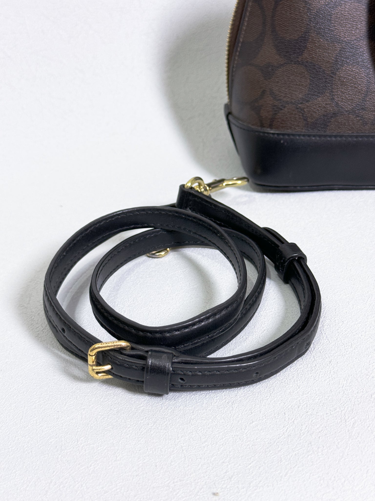 Coach Mini Sierra Handbag in Signature Brown Canvas with Strap