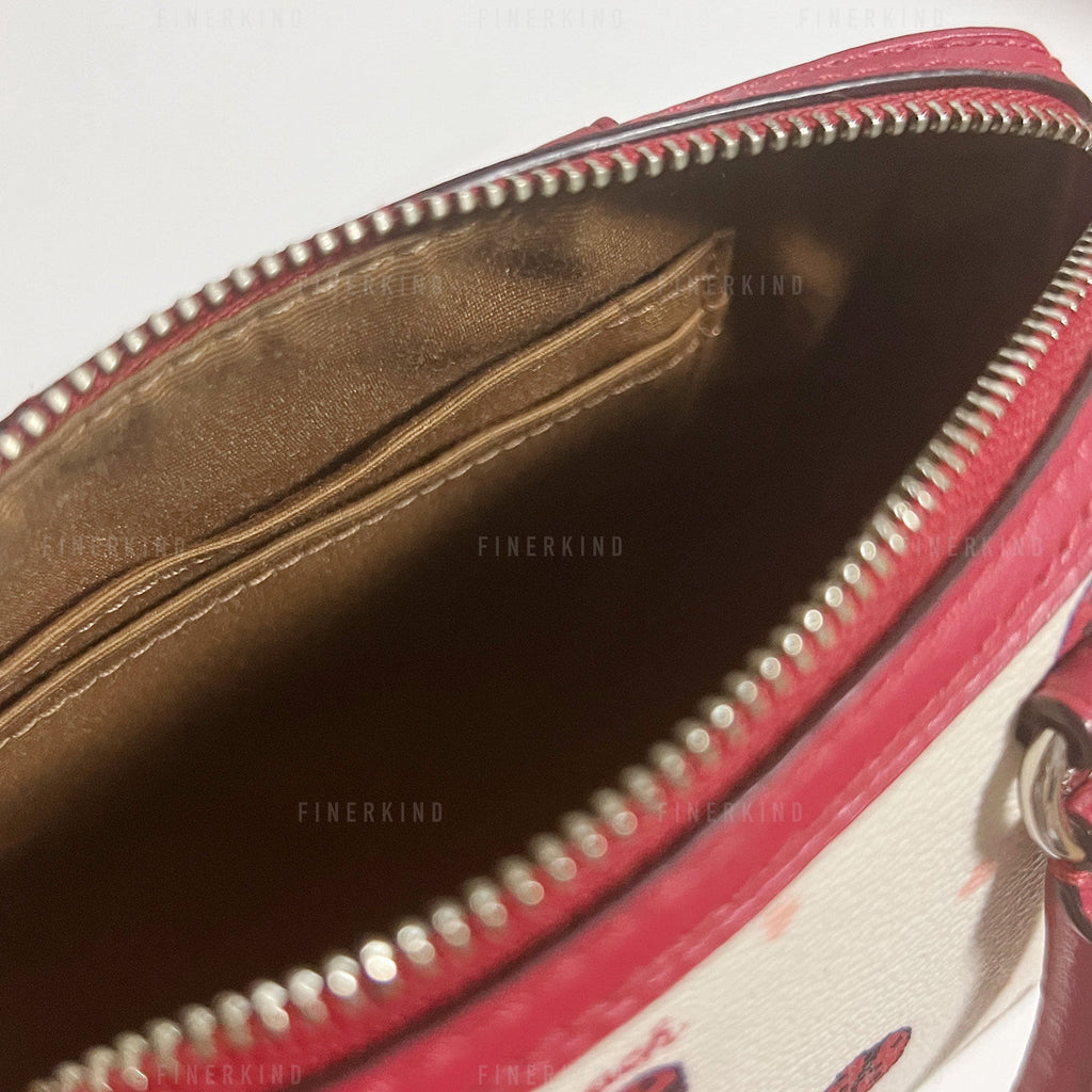 Coach Micro Rowan Hand Bag with Ladybug Print (No Strap)